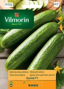 Ogórek Gruntowy Sałatkowy Gynial F1 Nasiona 2 g