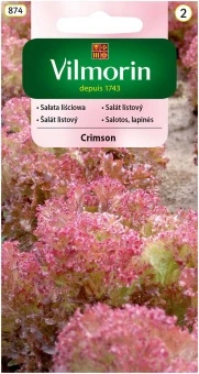 Sałata Crimson Nasiona Vilmorin 1 g