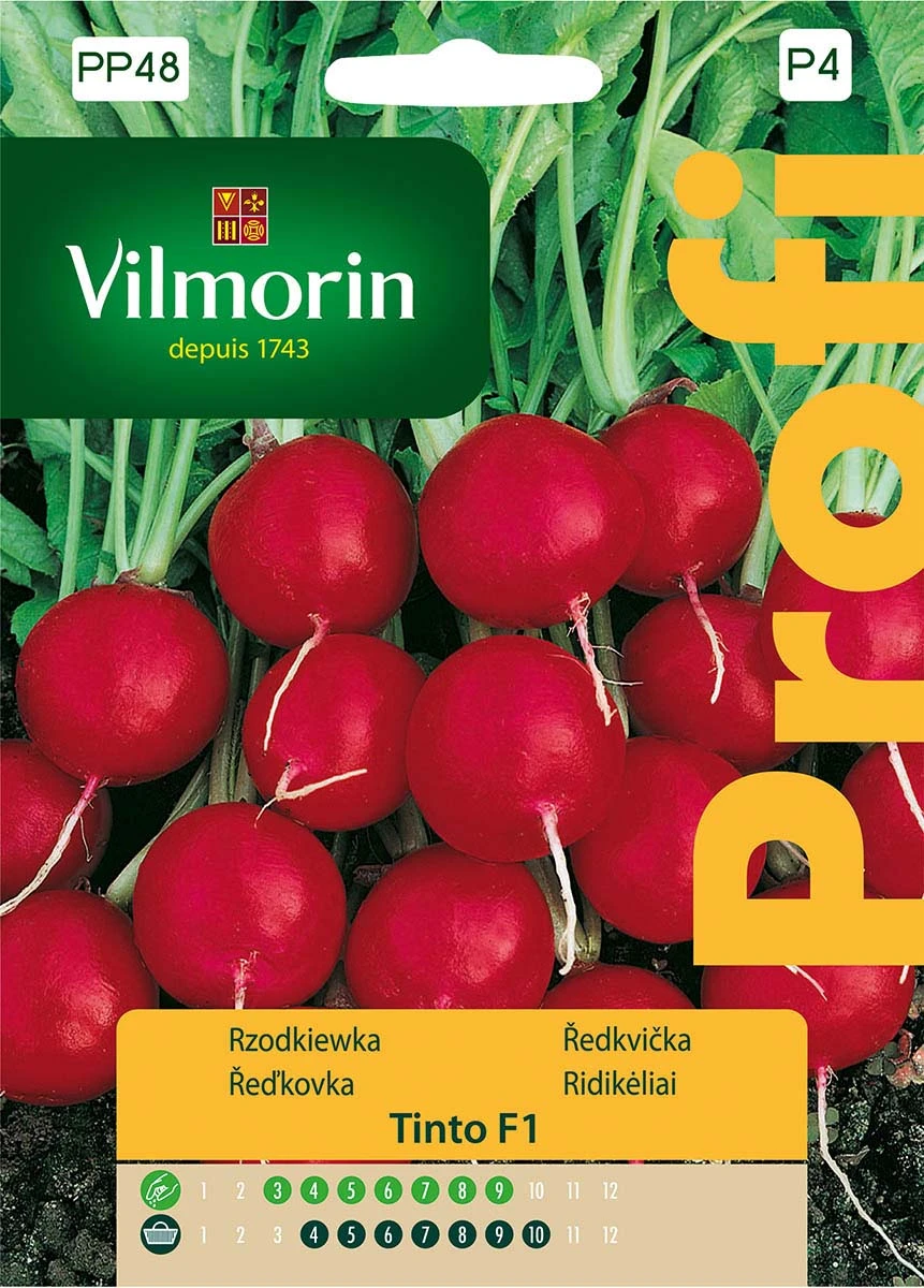 Rzodkiewka Tinto Kulista Nasiona 5 g