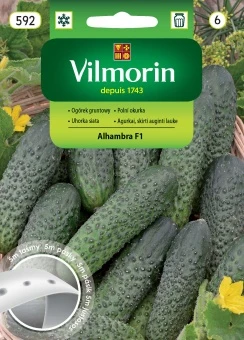 Ogórek Gruntowy Alhambra Nasiona 3 g