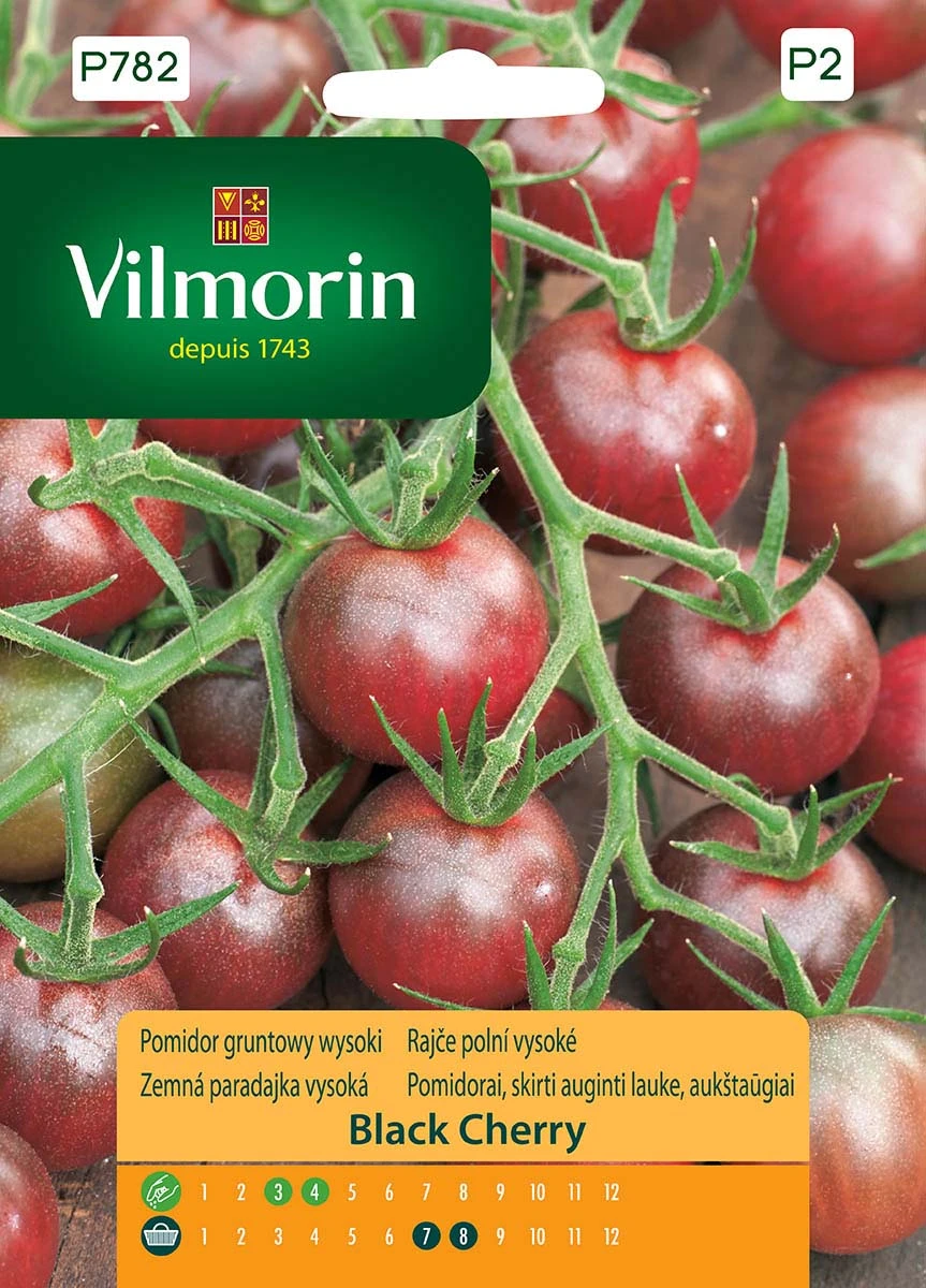 Pomidor Gruntowy Black Cherry Nasiona 0,2 g