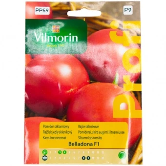 Pomidor Szklarniowy Belladona F1 Nasiona 8 szt.