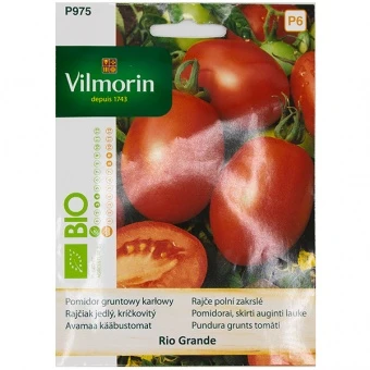 Pomidor Gruntowy Karłowy Rio Grande BIO Nasiona 0,5 g
