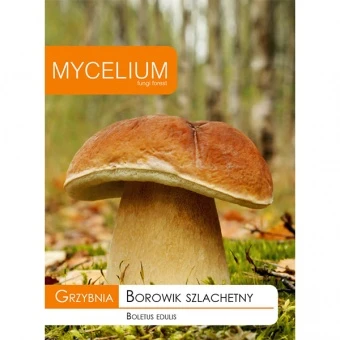 Grzybnia Borowik szlachetny 10 g