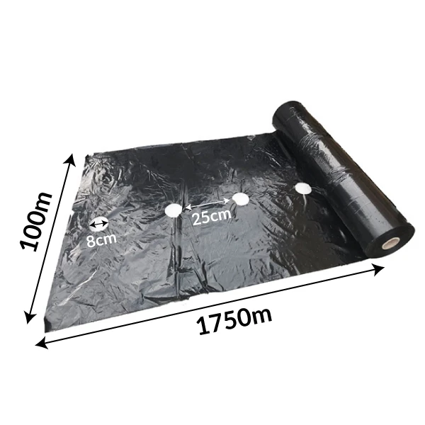 FOLIA NA ZAGONY DO M.IN. TRUSKAWKI I MALINY 1KG - CZARNA 0,03MM, 100CMx1750M, OTWORY CO 25CM