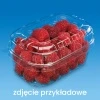 TACKI PLASTIKOWE GUILLIN 125G DÓŁ PROSTOKĄT Z WKŁADKĄ (2300 szt)