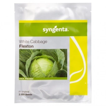 Kapusta Biała Flexton Nasiona 2,5 tys.