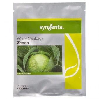 Kapusta Biała Zenon F1 Nasiona 2,5 tys.
