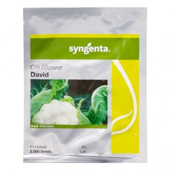 Kalafior David Nasiona 2,5 tys.