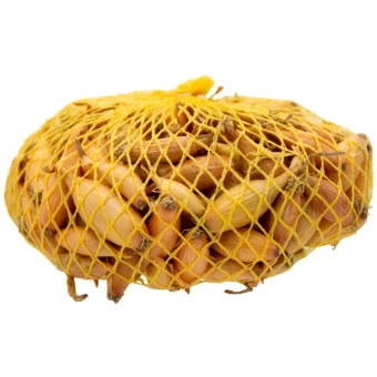 Cebula Dymka Podłużna Sopelek – Allium Cepa 0,25 kg