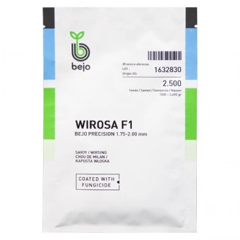 Kapusta Włoska Wirosa F1 Nasiona 2,5 tys.