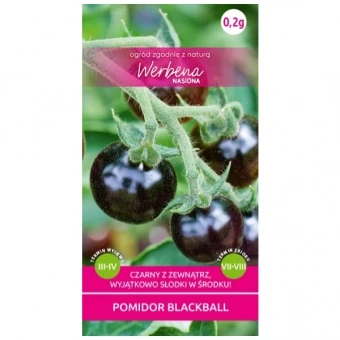 Pomidor Koktajlowy Blackball Nasiona 0,2 g