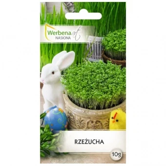 Werbena Rzeżucha Ogrodowa Nasiona 10 g