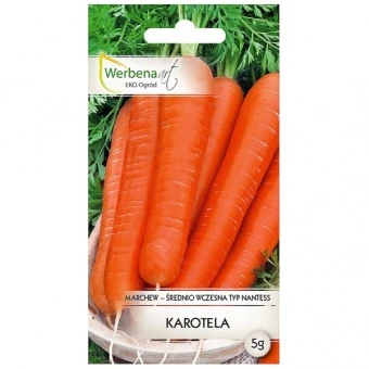 Marchew Karotela Nasiona 5 g