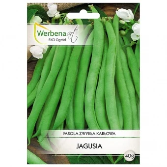 Fasola Zwykła Karłowa Zielona Jagusia Nasiona 40 g