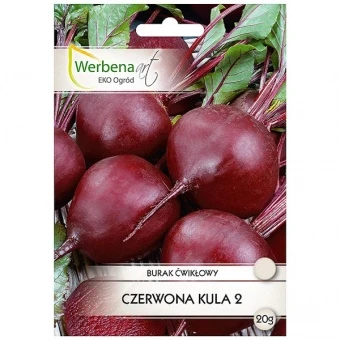 Burak Ćwikłowy Czerwona Kula 2 Nasiona 20 g