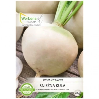 Burak Ćwikłowy Śnieżna Kula Nasiona 20 g