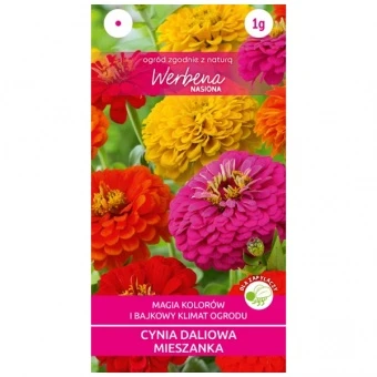 Cynia Daliowa Mieszanka Nasiona 1 g