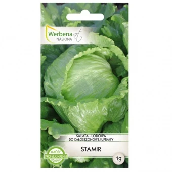 Sałata Lodowa Stamir Nasiona 1 g
