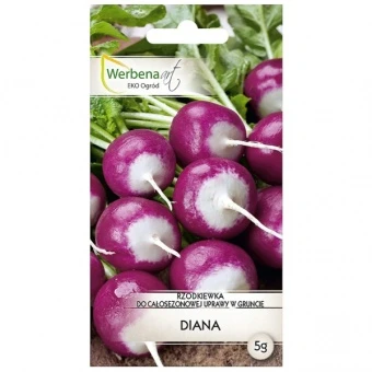 Rzodkiewka Diana Nasiona 5 g