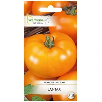 Pomidor Wysoki Jantar Nasiona 0,5 g