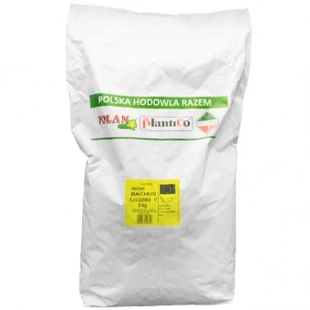 Bób Bachus Nasiona 5 kg