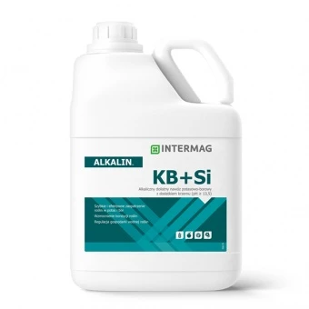 INTERMAG ALKALIN KB+Si 5L