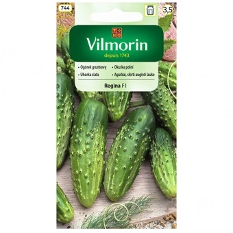Ogórek Gruntowy Regina F1 Nasiona 5 g