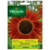 Kup razem Słonecznik Kwiatowy Abendsonne Nasiona 0,5 g