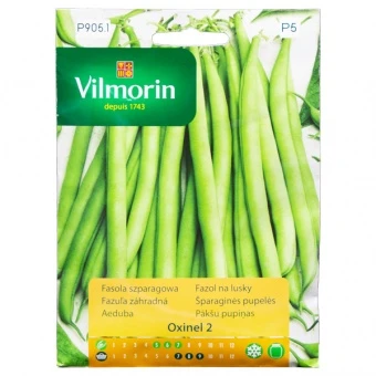 Fasola Szparagowa Zielona Oxinel 2 Nasiona 30 g