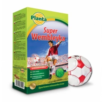 Trawa Sportowa  Super Wembleyka 2KG 