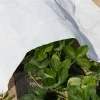 Agrowłóknina P30 6,35 x 250M biała Premium