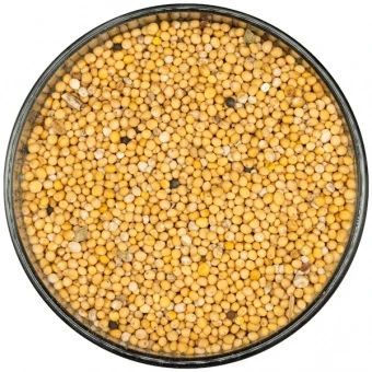 Gorczyca na poplon 1 kg