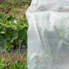Folia perforowana 0,06, sz. 5600, 300MB recykling