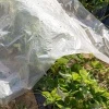 Folia perforowana 0,06, sz. 5600, 160MB recykling
