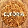 ​​Pszenica Ozima Euforia C/1 Zapr. 50 kg