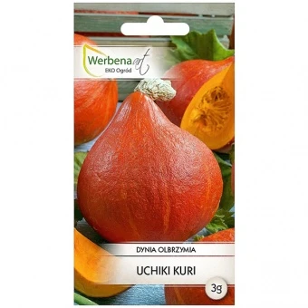 Dynia Olbrzymia Uchiki Kuri Nasiona 3 g