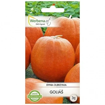 Dynia Olbrzymia Golias Nasiona 3 g