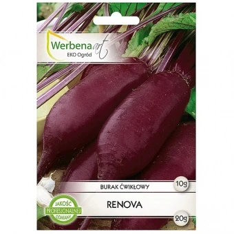Burak Ćwikłowy Renova Nasiona 10 g