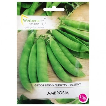 Groch Siewny Cukrowy Ambrosia Nasiona 15 g