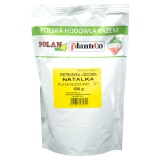 Kup razem Pietruszka Liściowa Natalka Nasiona 500 g