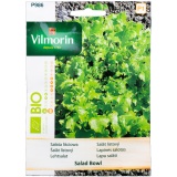 Kup razem Sałata Lliściowa Salad Bowl Zielona BIO Nasiona 0,5 g