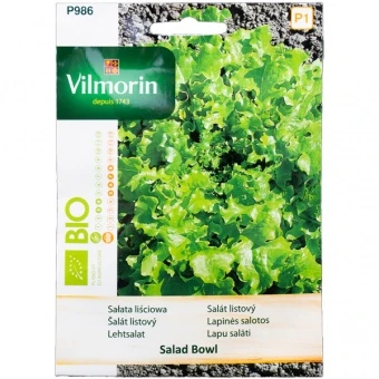 Sałata Lliściowa Salad Bowl Zielona BIO Nasiona 0,5 g