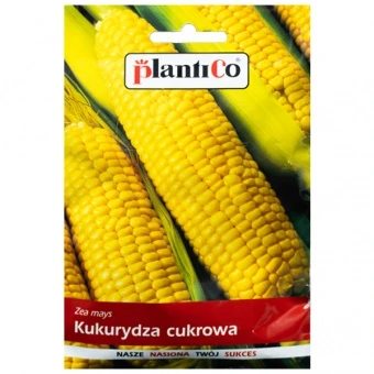Kukurydza Cukrowa Golden Bantam Nasiona Plantico 10 g