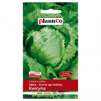 Sałata Lodowa Krucha Kwiryna Nasiona  Plantico 1,2 g