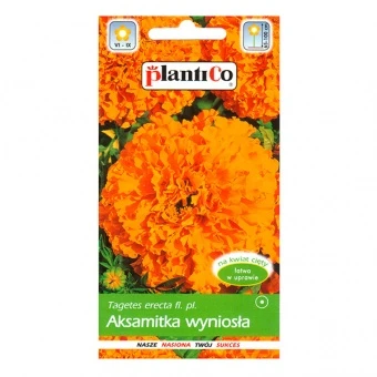Aksamitka Pełna Niska Tangerine - Pomarańczowa Nasiona 1 g   ????