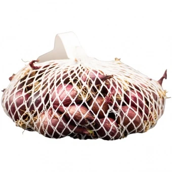 Cebula Dymka Czerwona Scarlet – Allium Cepa 200 g