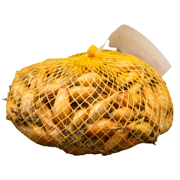 Cebula Dymka Podłużna Sopelek – Allium Cepa  0,5 kg