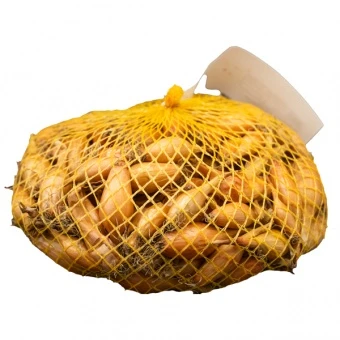 Cebula Dymka Podłużna Sopelek – Allium Cepa  0,5 kg