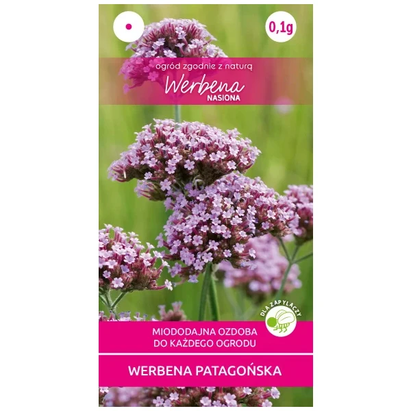 Werbena Patagońska Nasiona 0,1 g